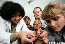 Obesity drug may prevent diabetes