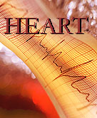 ������������ ����� ����� ����������� �������� ��������� � ������ � ������������� �������. 