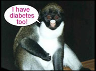 Diabetes Mellitus