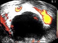 Clinical Obstetrics and Gynecology
