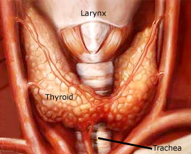 Thyroid Cancer Treatment Varies by Hospital 