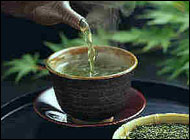 Green Tea Proves Powerful Medicine Against Sepsis