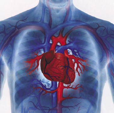 Aspirin, Cost-Effective Heart Disease Prevention 