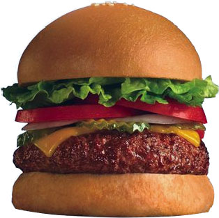 Burger diet linked to higher childhood ASTHMA risk