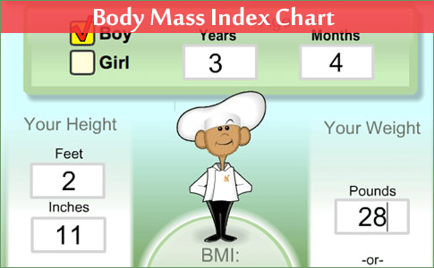 BMI Chart -Inches / Pounds