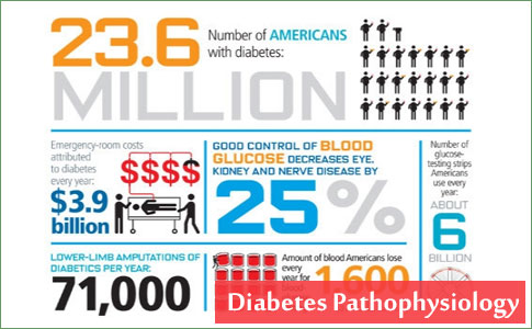 Diabetes Pathophysiology