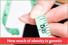 How much of obesity is genetic